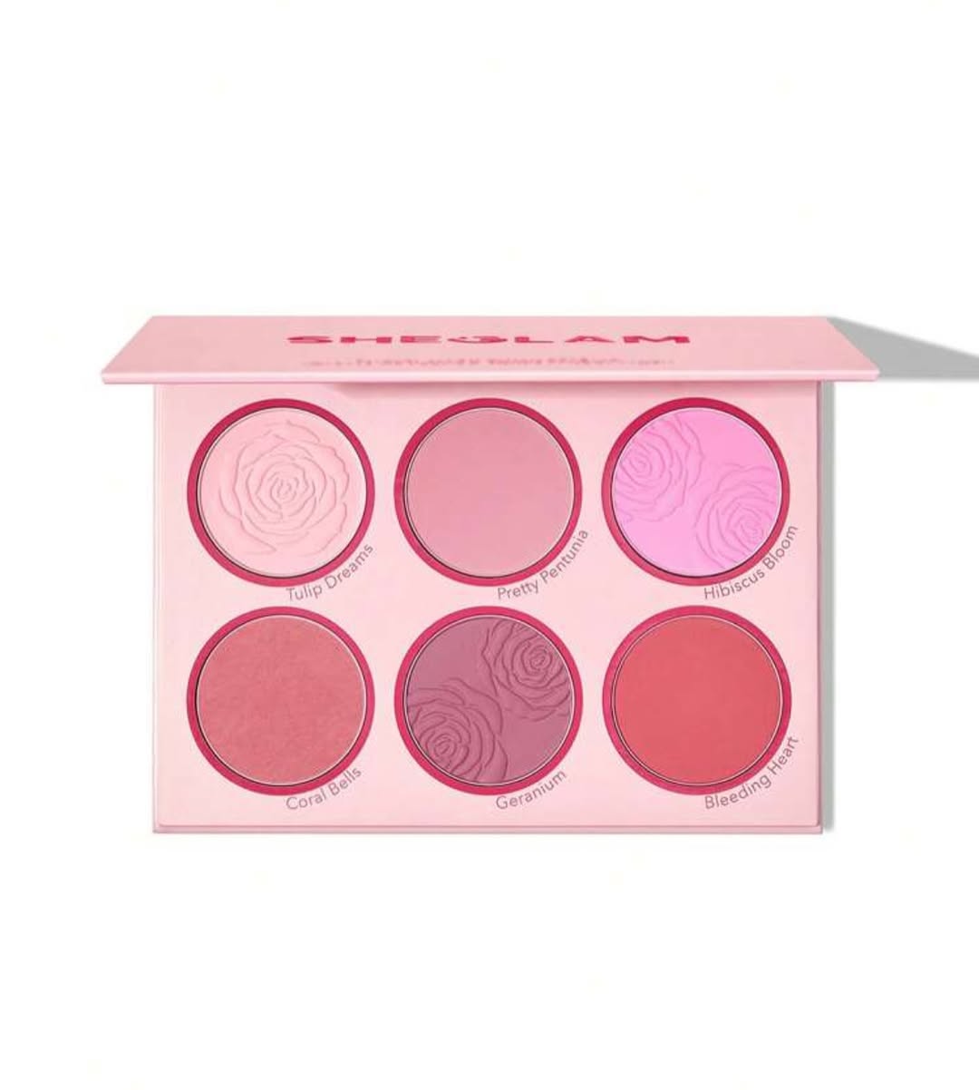 پالت رژگونه ۶رنگ پودری شیگلم  - Thumbnail 1