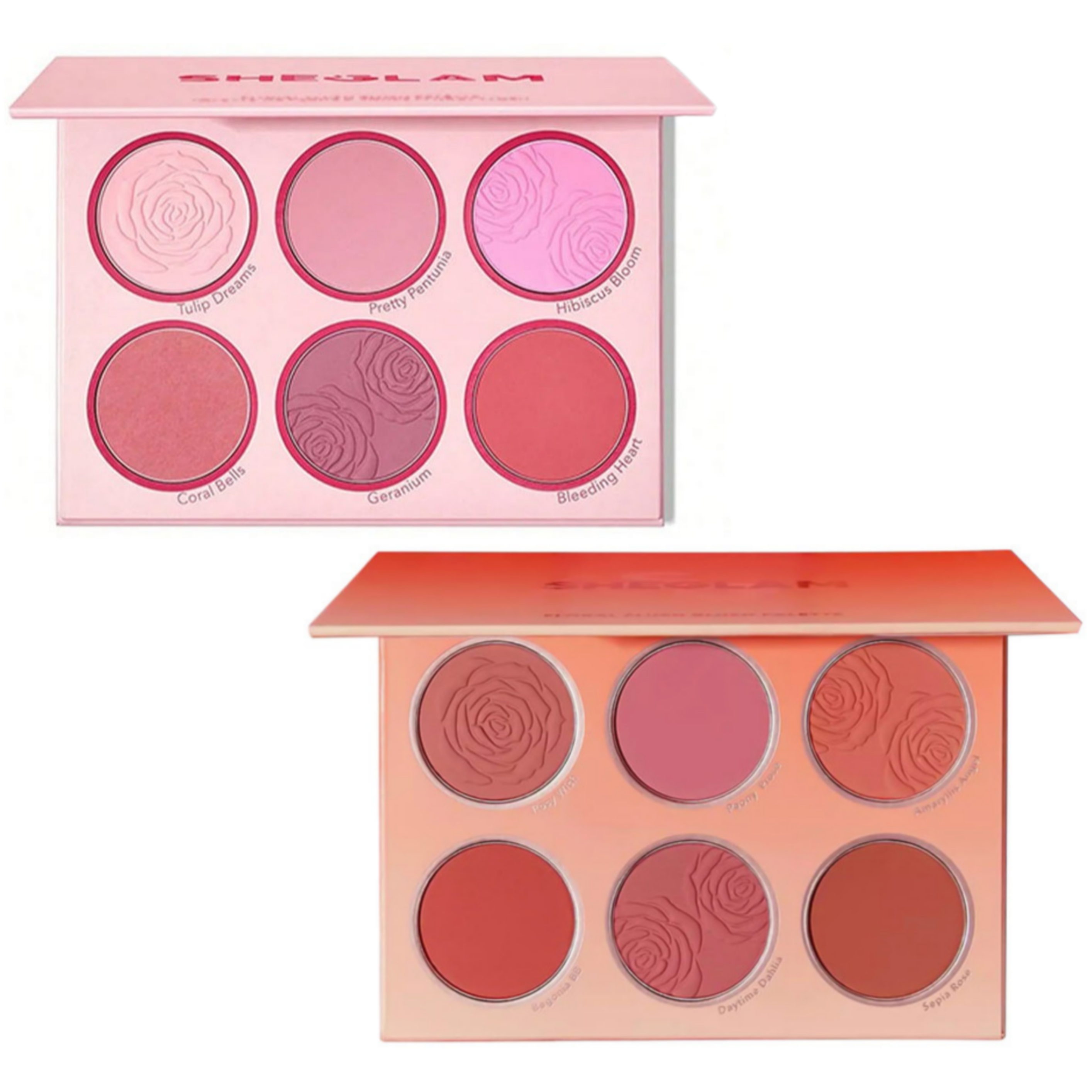 پالت رژگونه ۶رنگ پودری شیگلم 